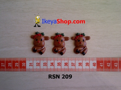 rsn 209  large2